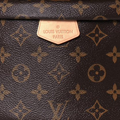 Louis Vuitton Monogram Bumbag 7 of 12