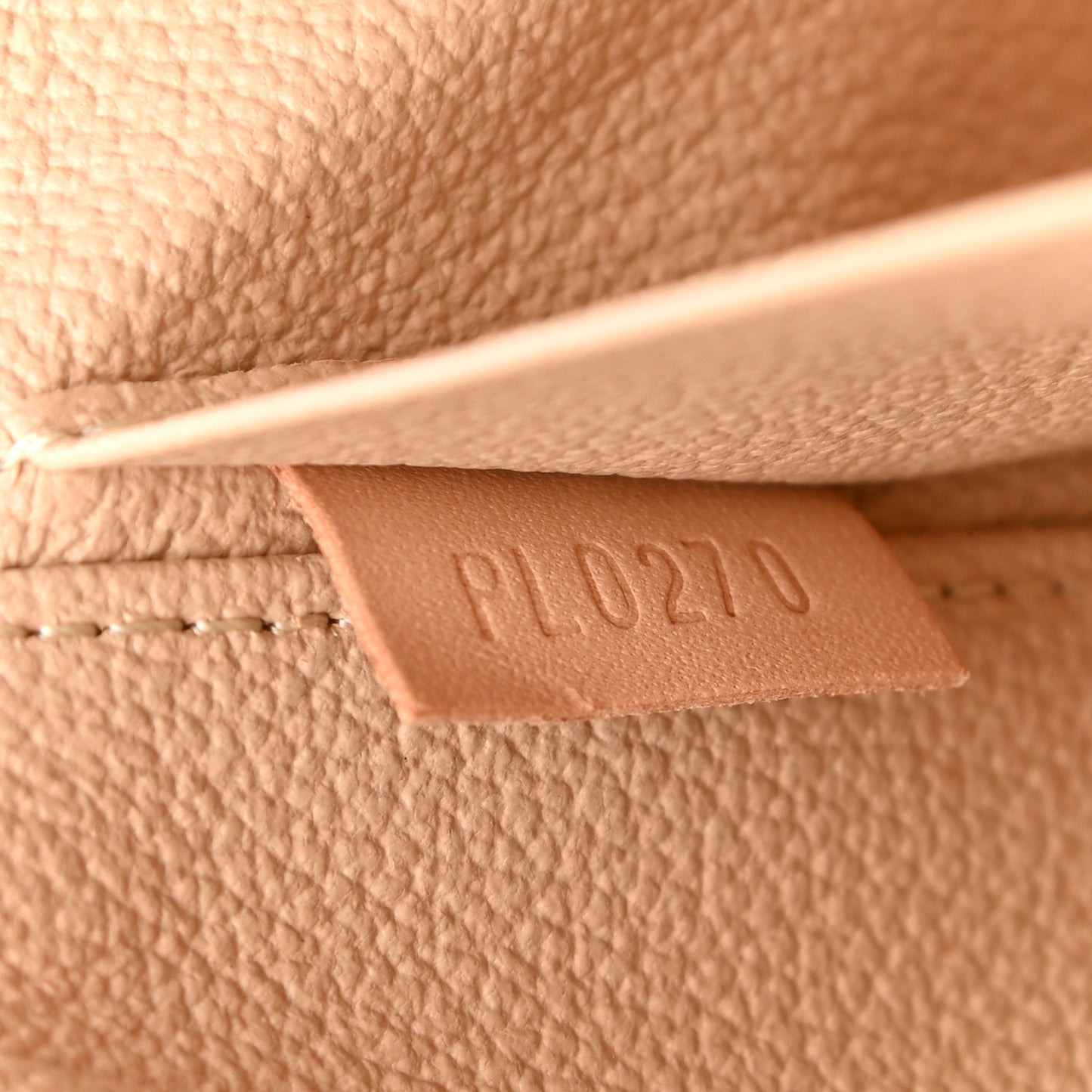 Monogram Nice Mini