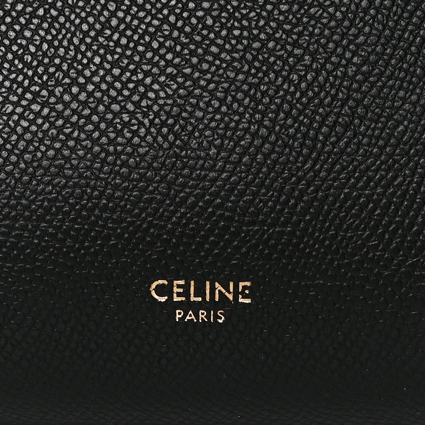 Grained Calfskin Nano Belt Bag Black