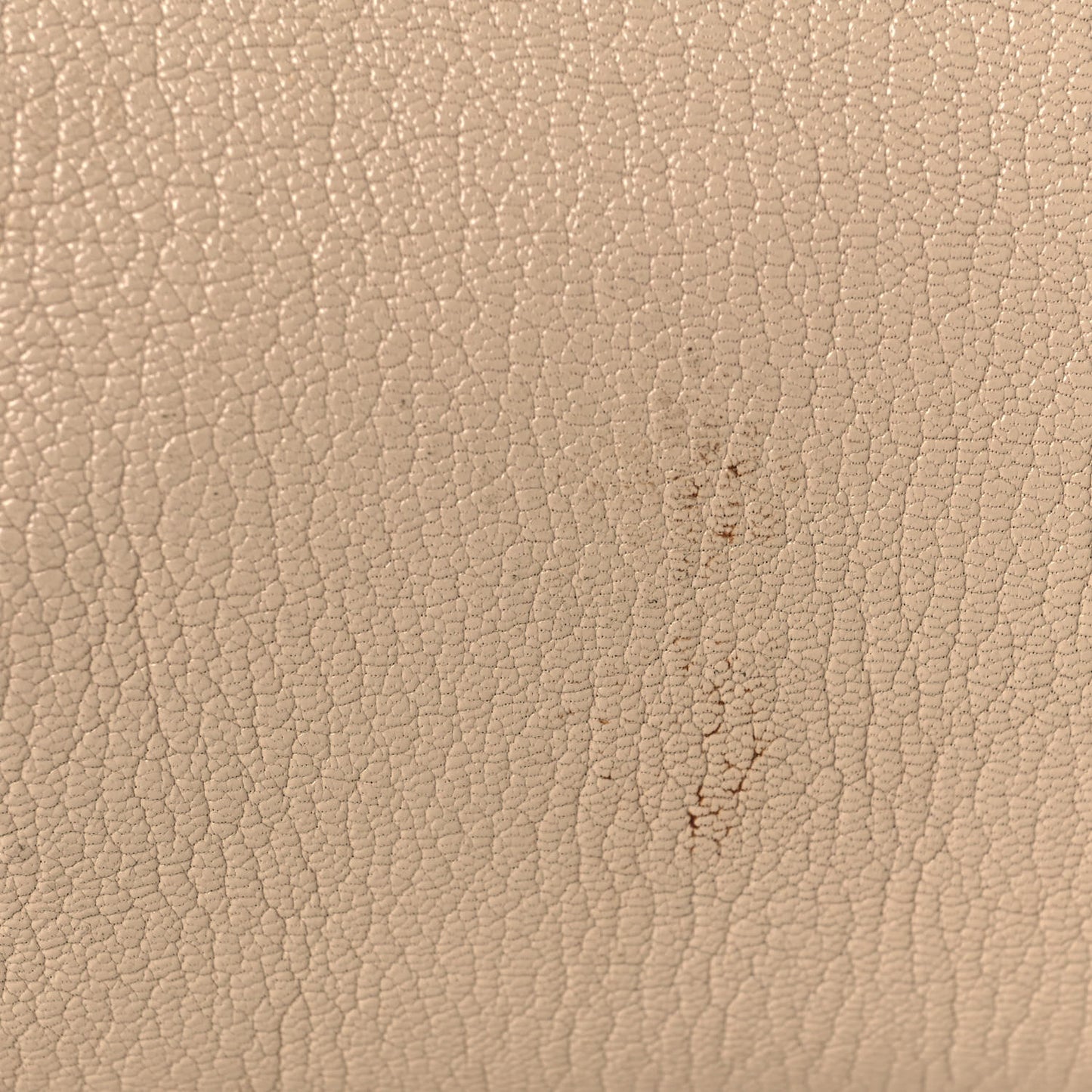 Chevre Silver Metallic Edge Hardware City Beige Tapioca