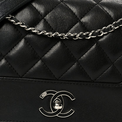 Chanel Sheepskin Quilted Medium Vintage Mademoiselle Flap Black 9 of 11