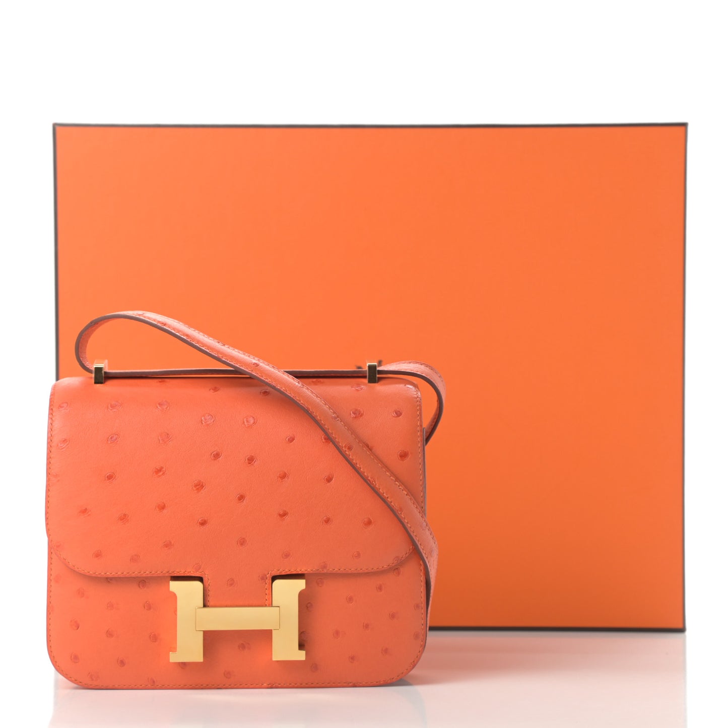 Ostrich Constance 18 Tangerine