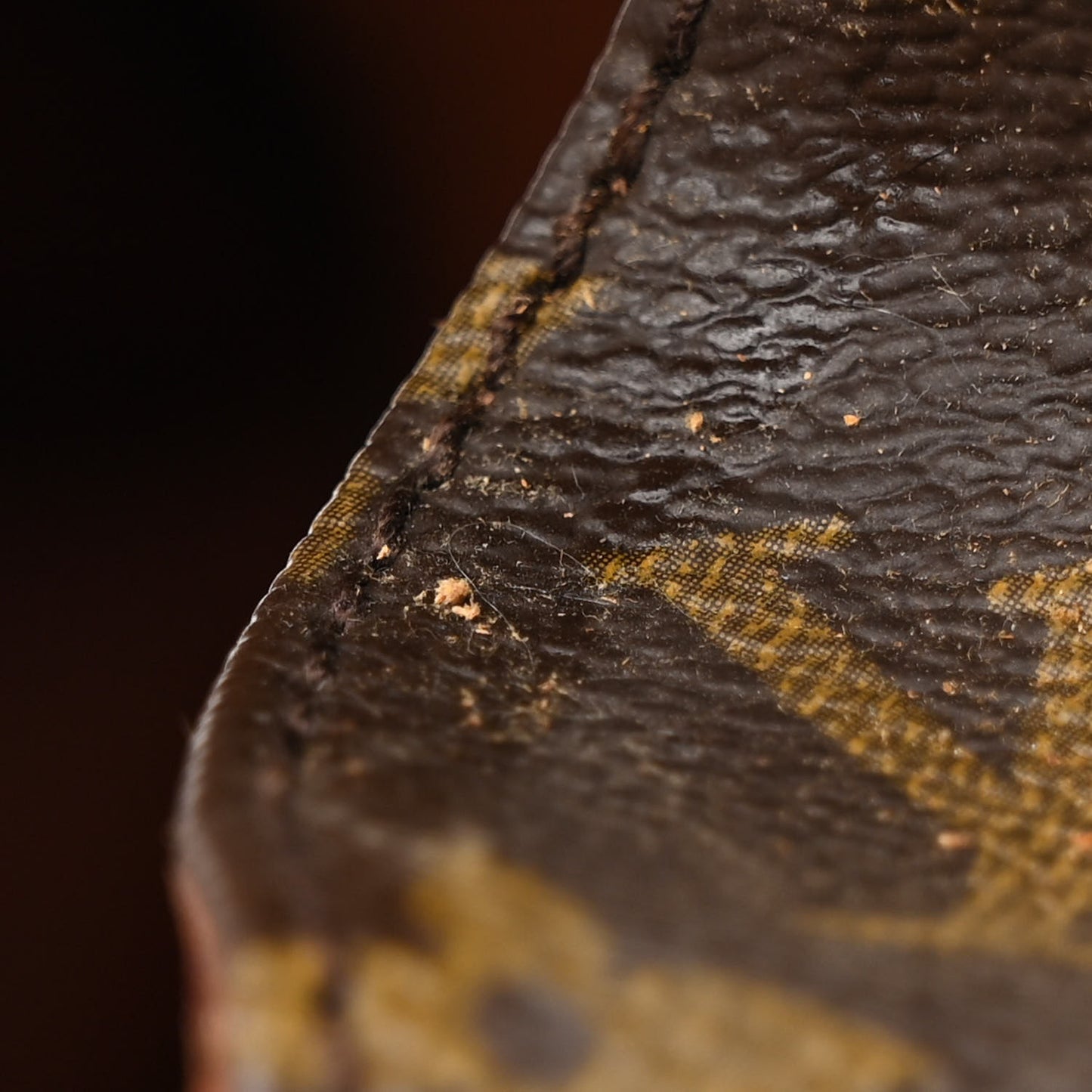 Monogram Cartouchiere 22