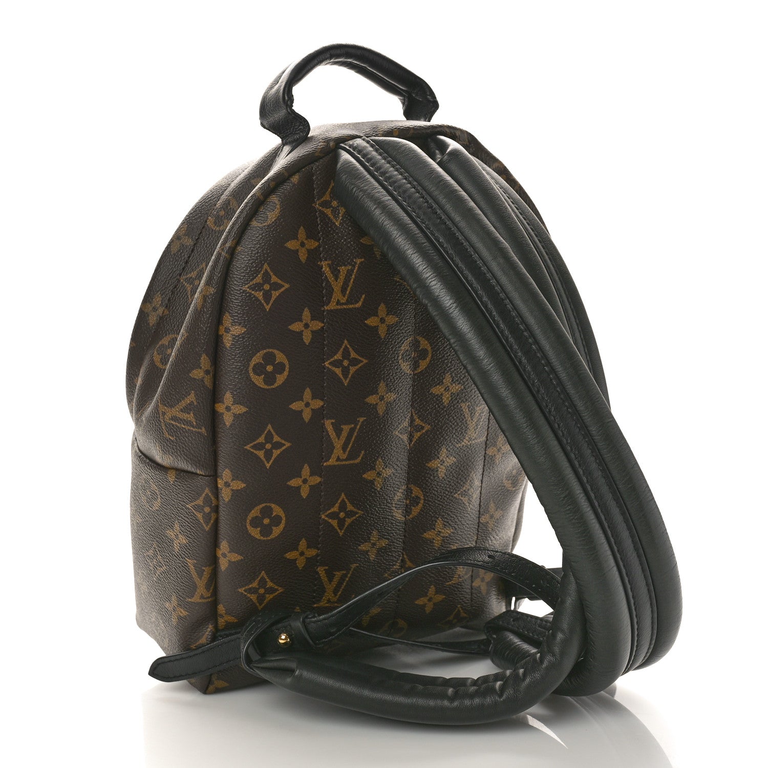 Louis Vuitton Monogram Palm Springs Backpack PM 3 of 9