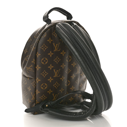 Louis Vuitton Monogram Palm Springs Backpack PM 3 of 9
