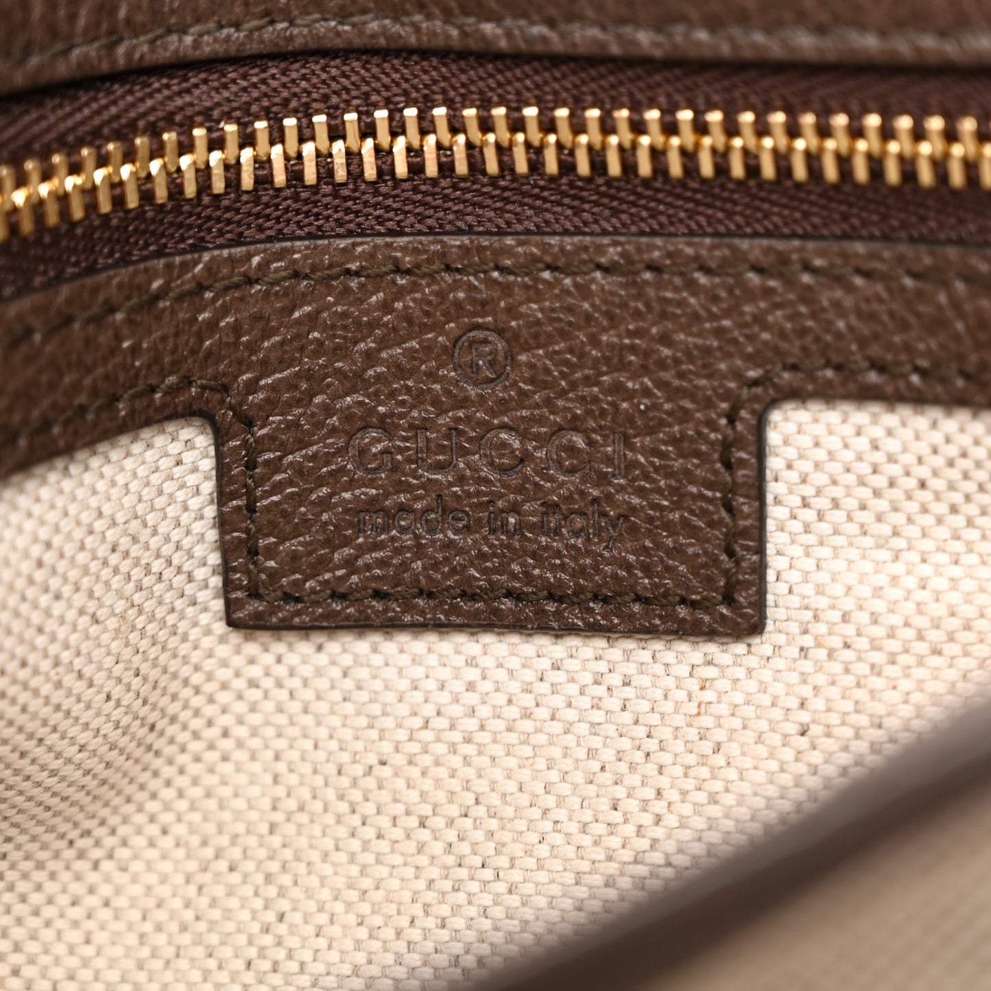 GG Supreme Monogram Textured Dollar Calfskin Web Medium Blondie Top Handle Shoulder Flap Bag Beige Ebony New Acero