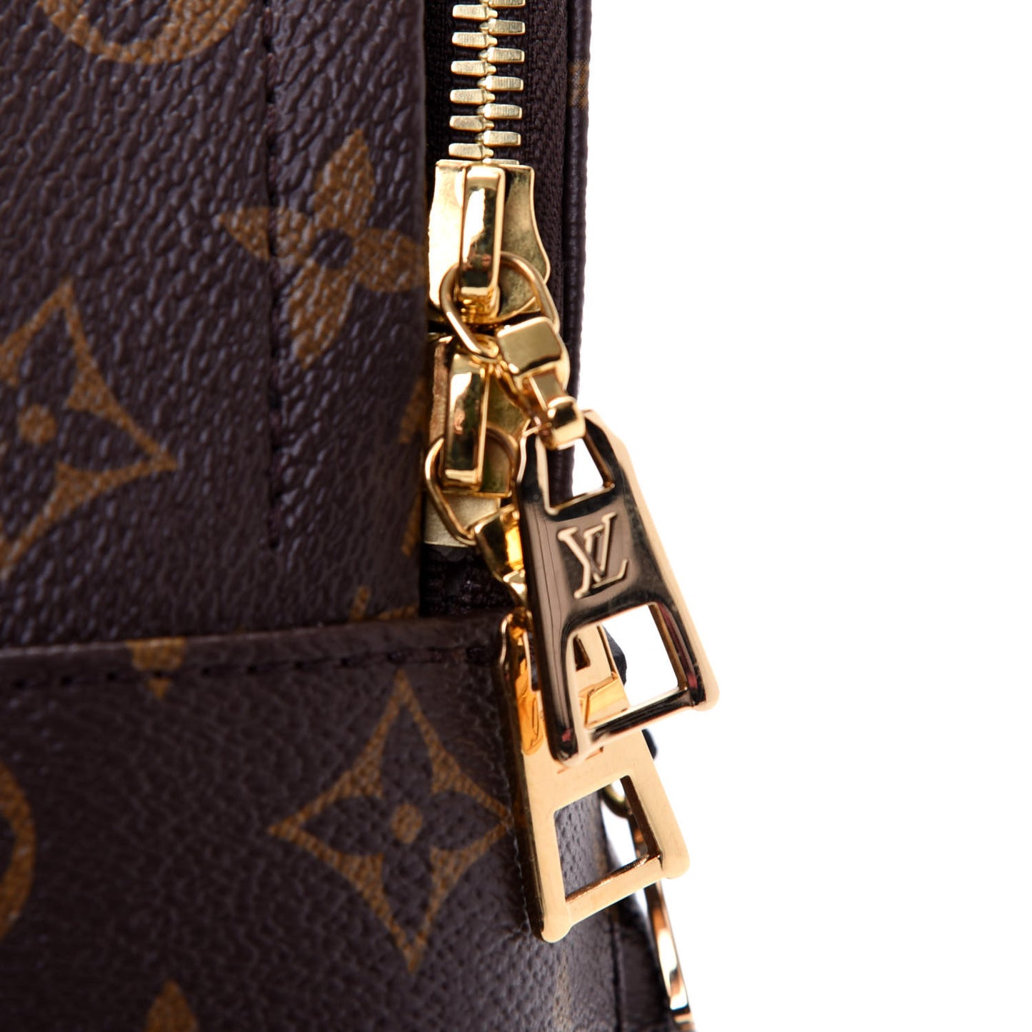Monogram Palm Springs Backpack PM