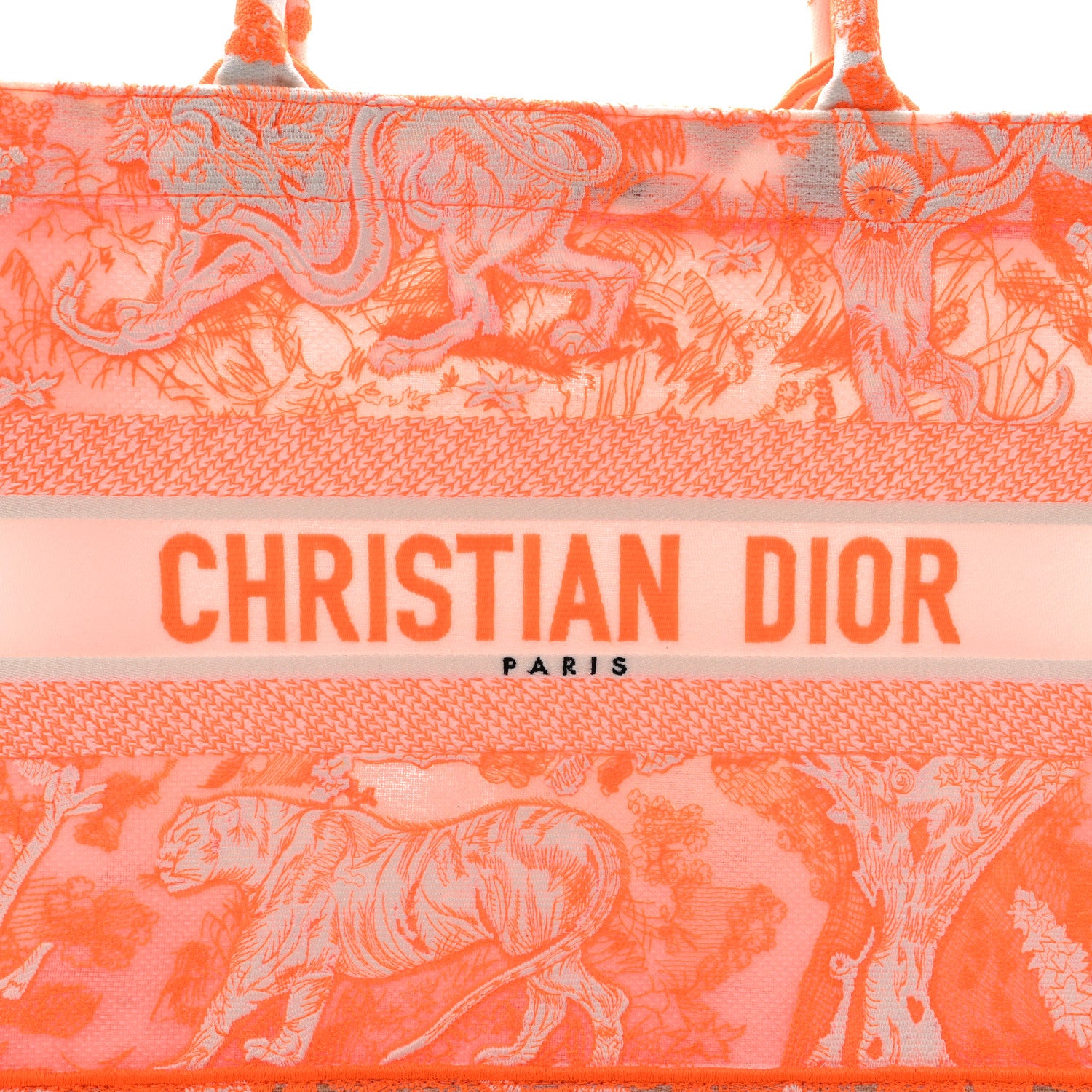 Christian Dior Transparent Canvas Embroidered Medium Dioriviera
