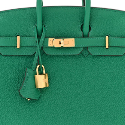 Hermes Togo Birkin 25 Vert Vertigo 8 of 11