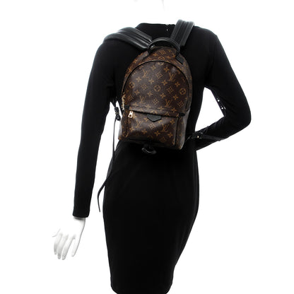 Louis Vuitton Monogram Palm Springs Backpack PM 2 of 8