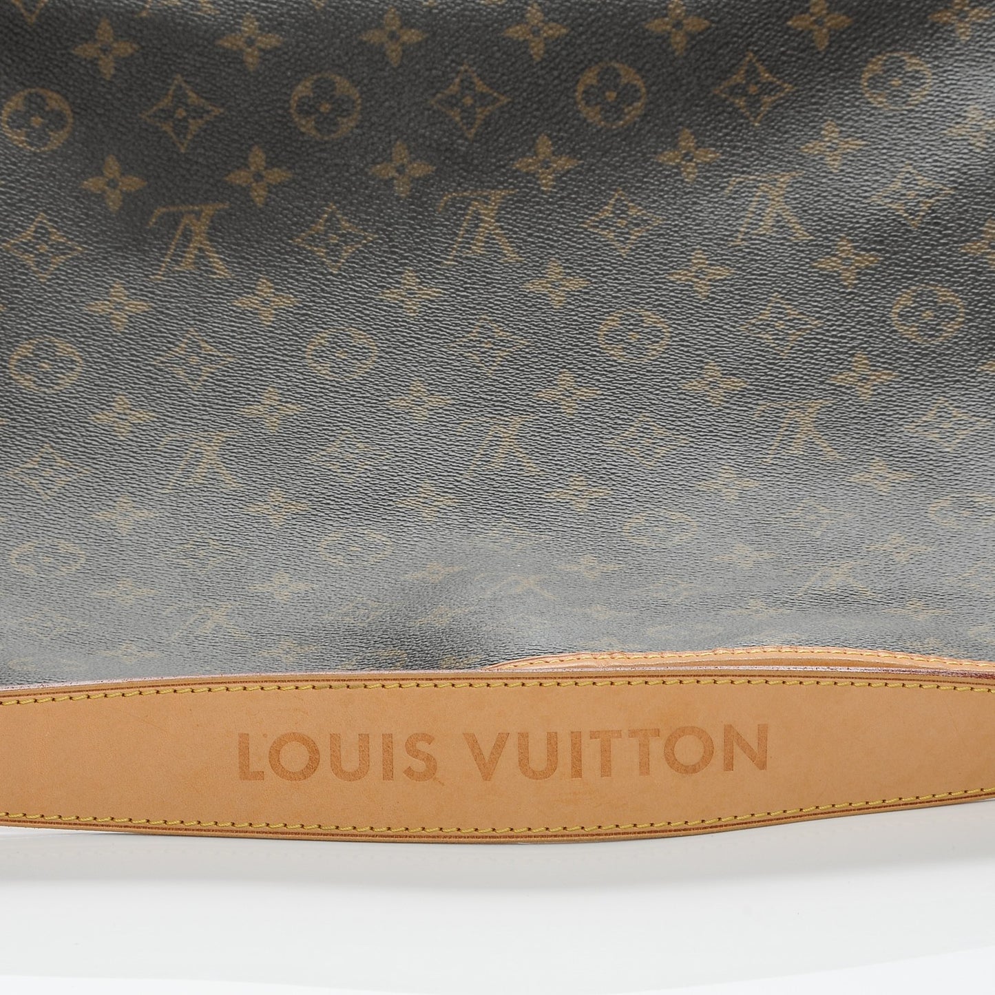 Monogram Delightful MM