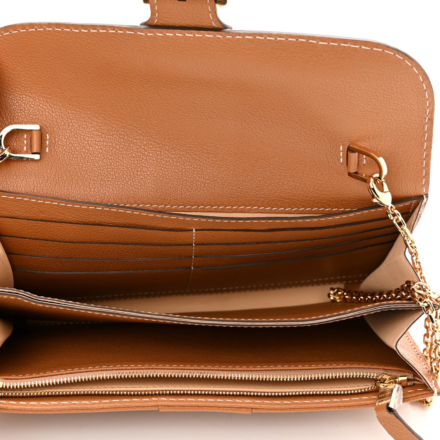 Rodeo Calfskin Surpique Brillant Wallet on Chain Vegetal