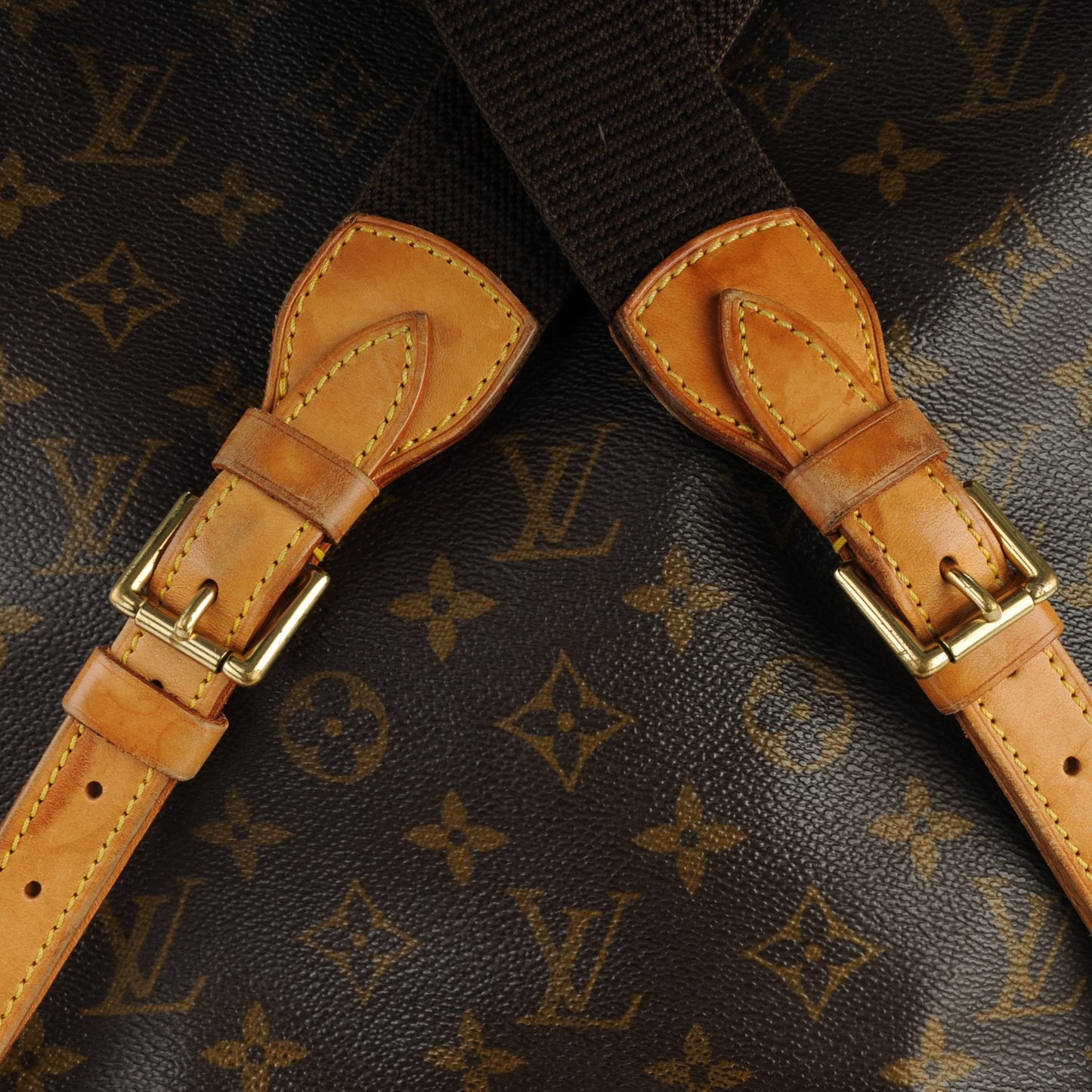 Monogram Montsouris GM Backpack