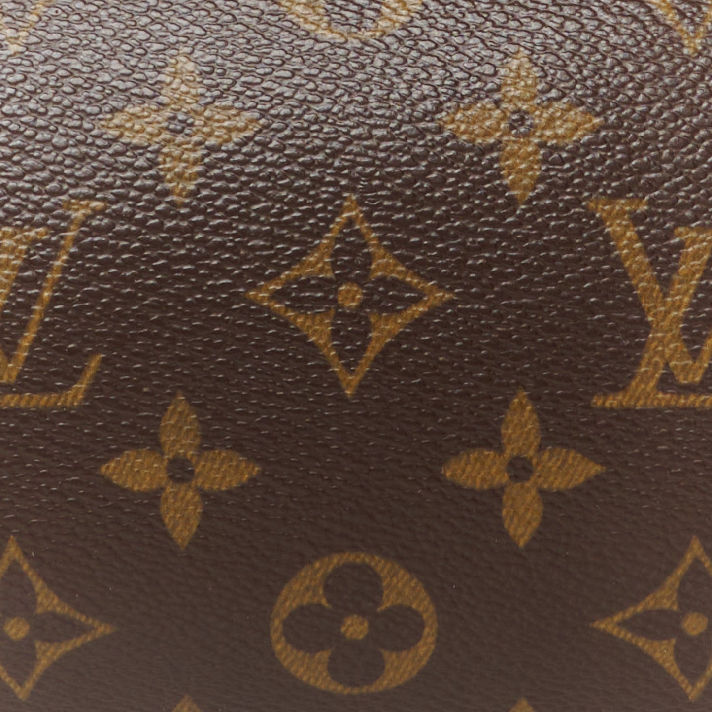 Monogram Papillon 30