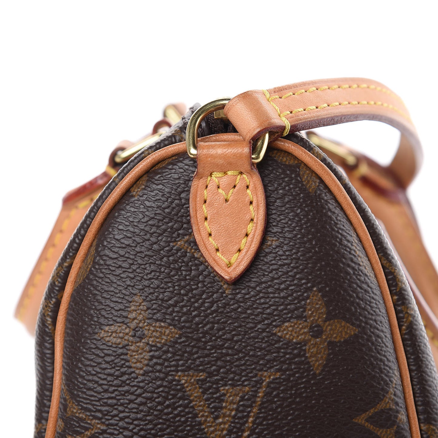 Monogram Nano Speedy