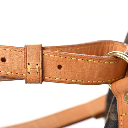 Louis Vuitton Monogram Petit Noe NM 22 of 30