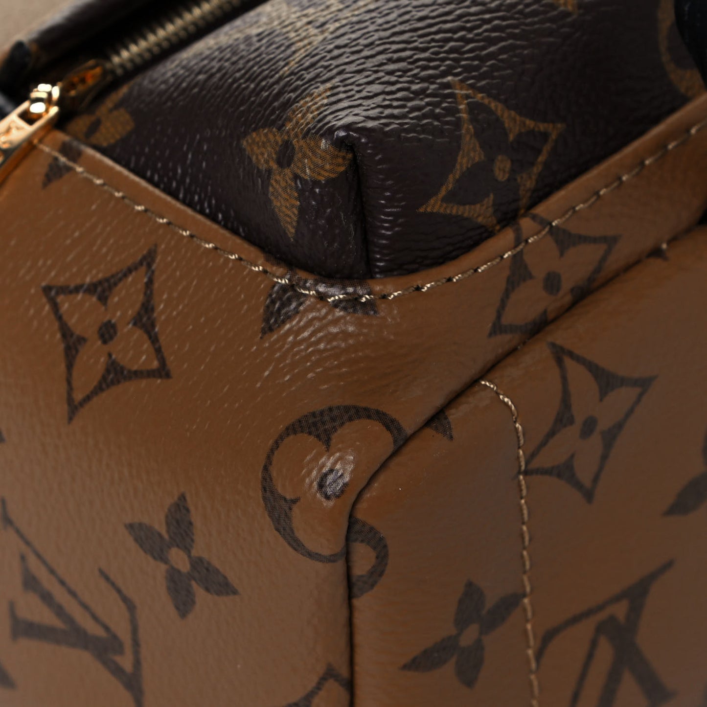 Reverse Monogram Palm Springs Backpack Mini