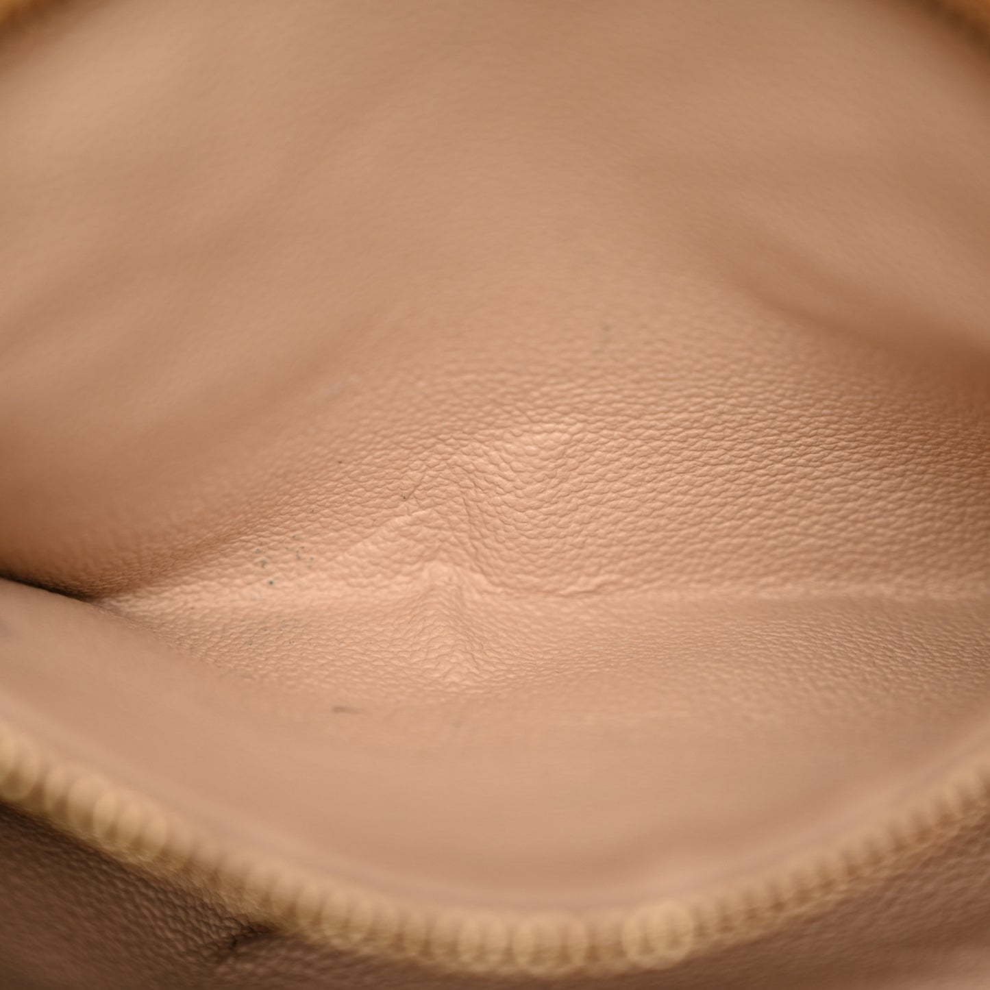 Monogram Petit Bucket 23