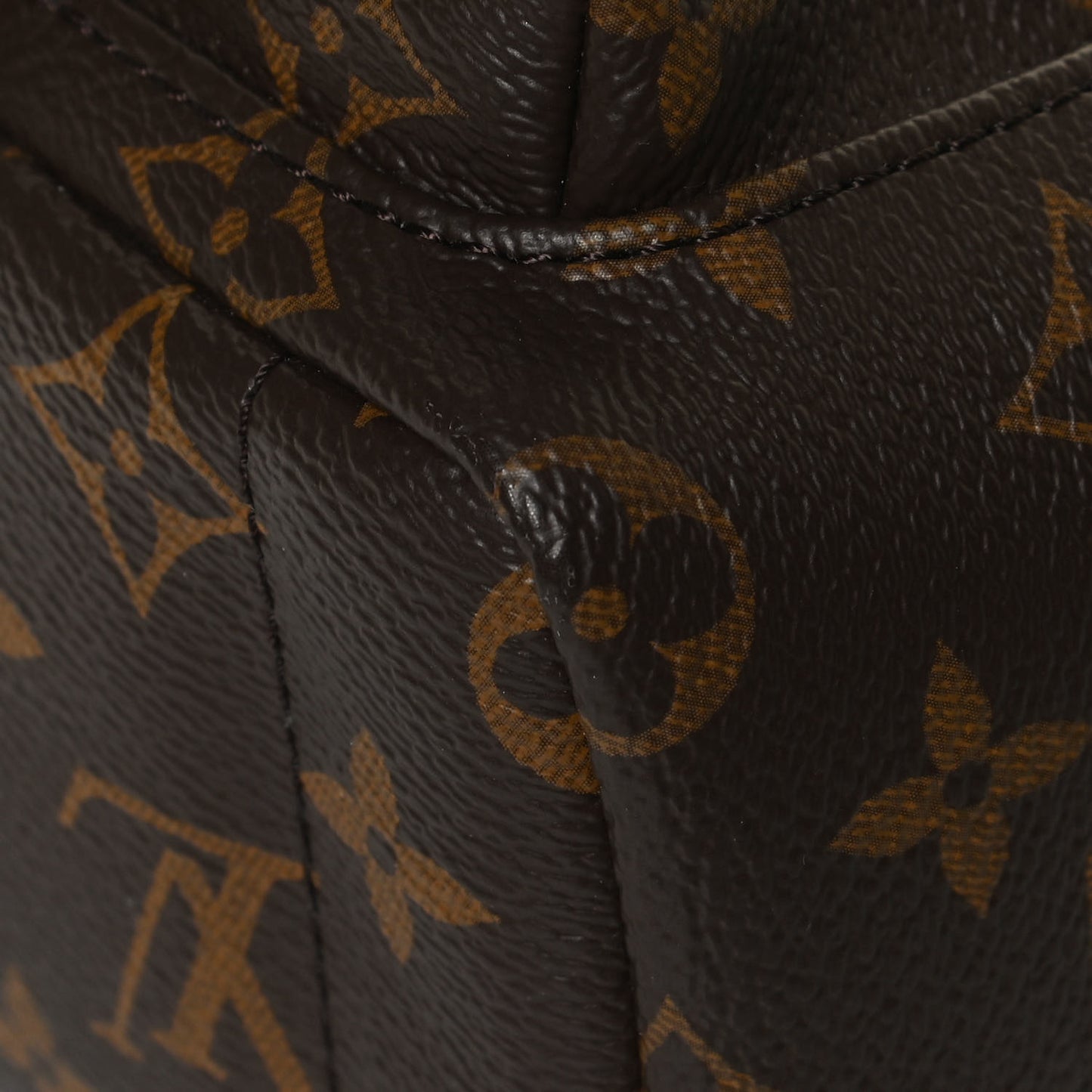 Monogram Palm Springs Backpack Mini
