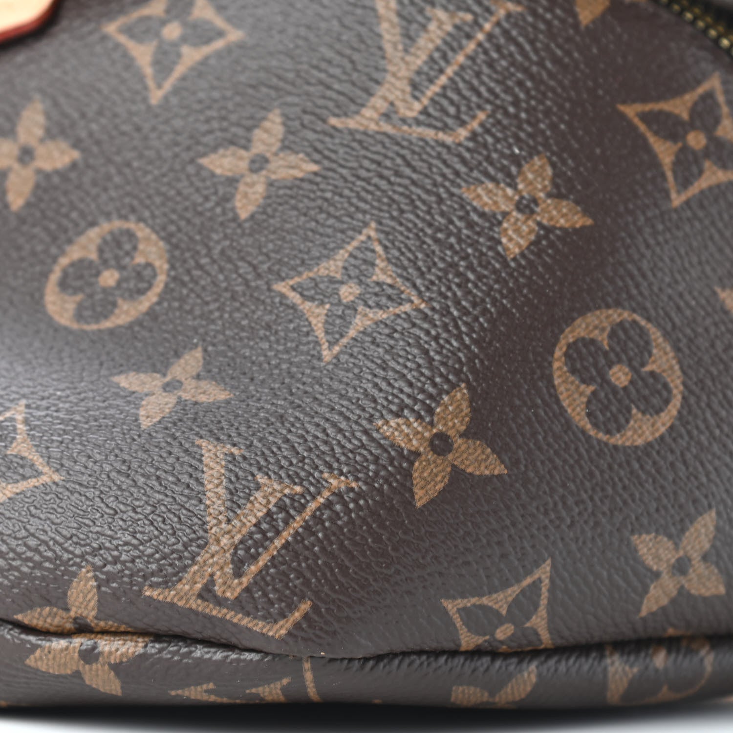 Louis Vuitton Monogram Bumbag 9 of 9