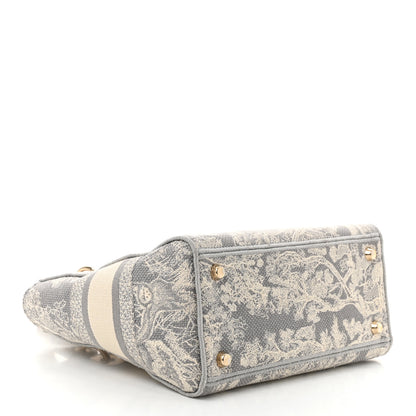 Christian Dior Canvas Toile De Jouy Reverse Embroidered Medium Lady D-Lite Gray 4 of 12