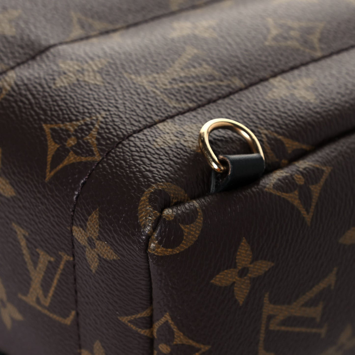 Monogram Palm Springs Backpack Mini