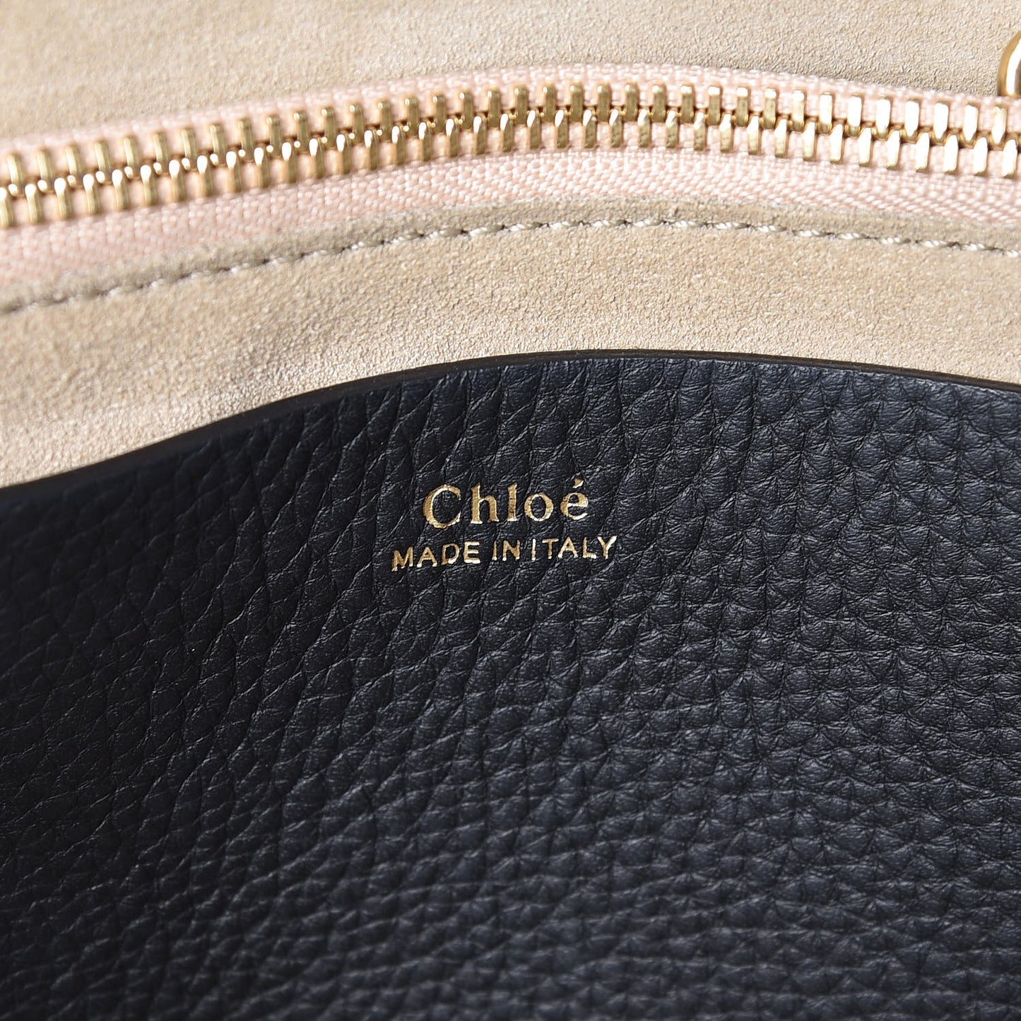 Grained Calfskin Small Hayley Hobo Black