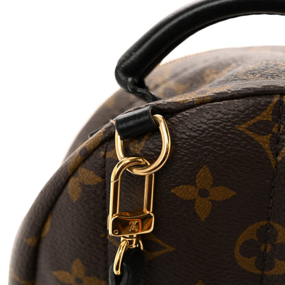 Louis Vuitton Monogram Palm Springs Backpack Mini 13 of 15