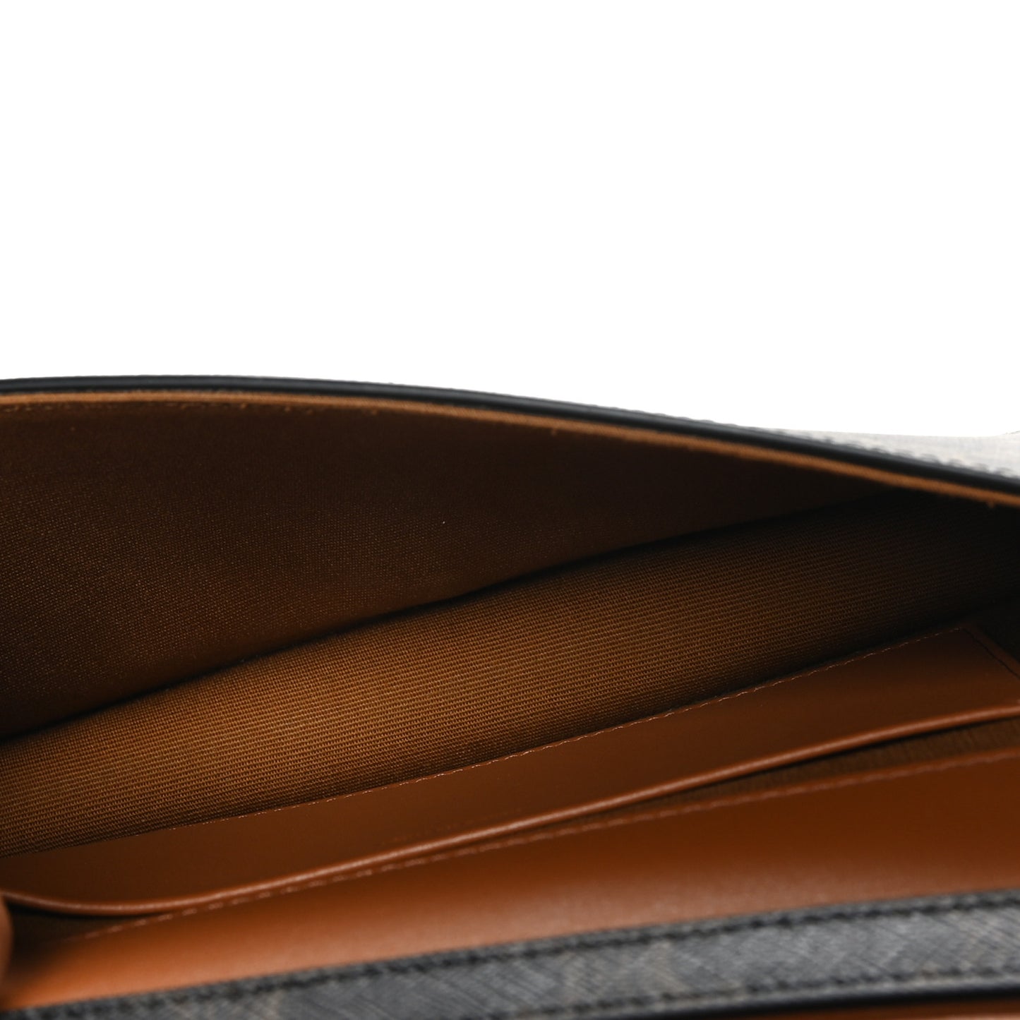 Triomphe Canvas Multipochette Tan