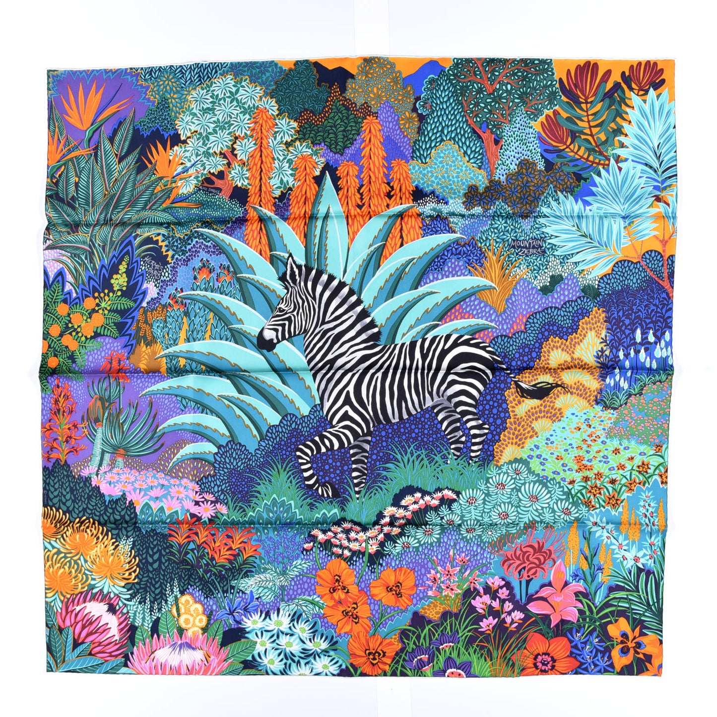 Silk Mountain Zebra Scarf 90 Turquoise Orange