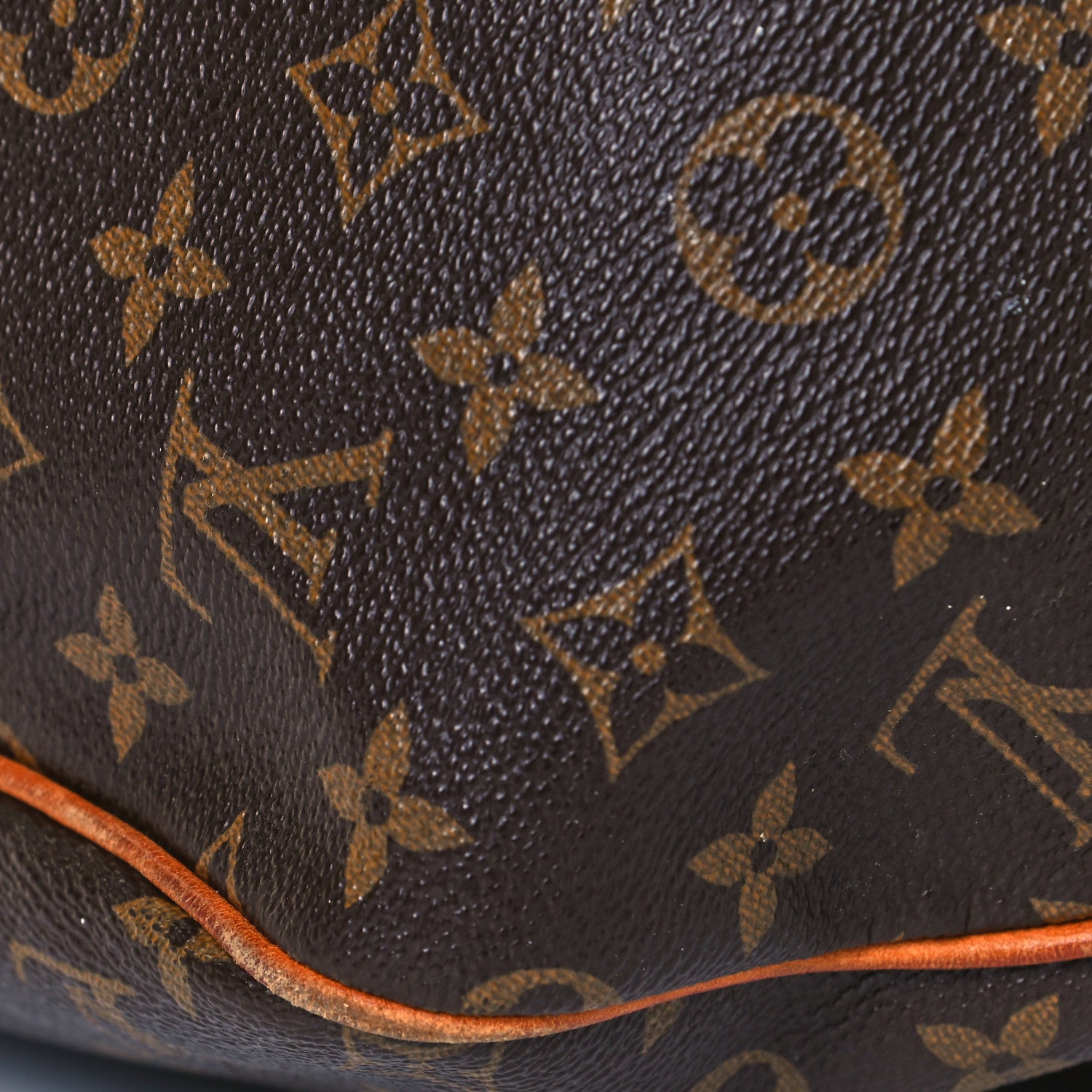 Louis Vuitton Monogram Delightful GM 11 of 12