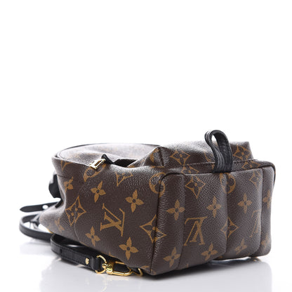 Louis Vuitton Monogram Palm Springs Backpack Mini 4 of 9