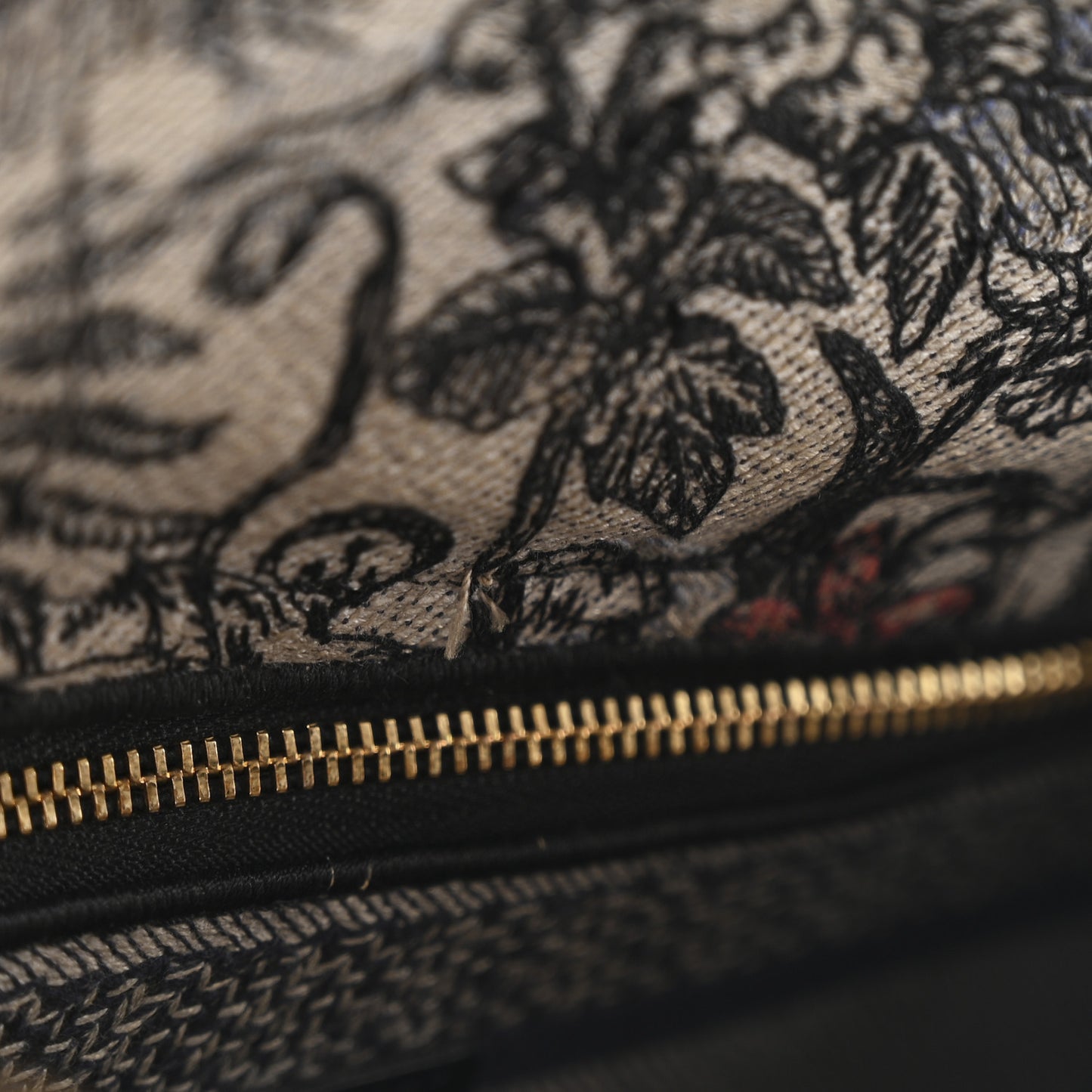 Canvas Embroidered Jardin Magique Medium Lady D-Lite Denim Multicolor