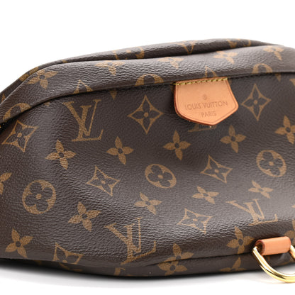 Louis Vuitton Monogram Bumbag 7 of 10