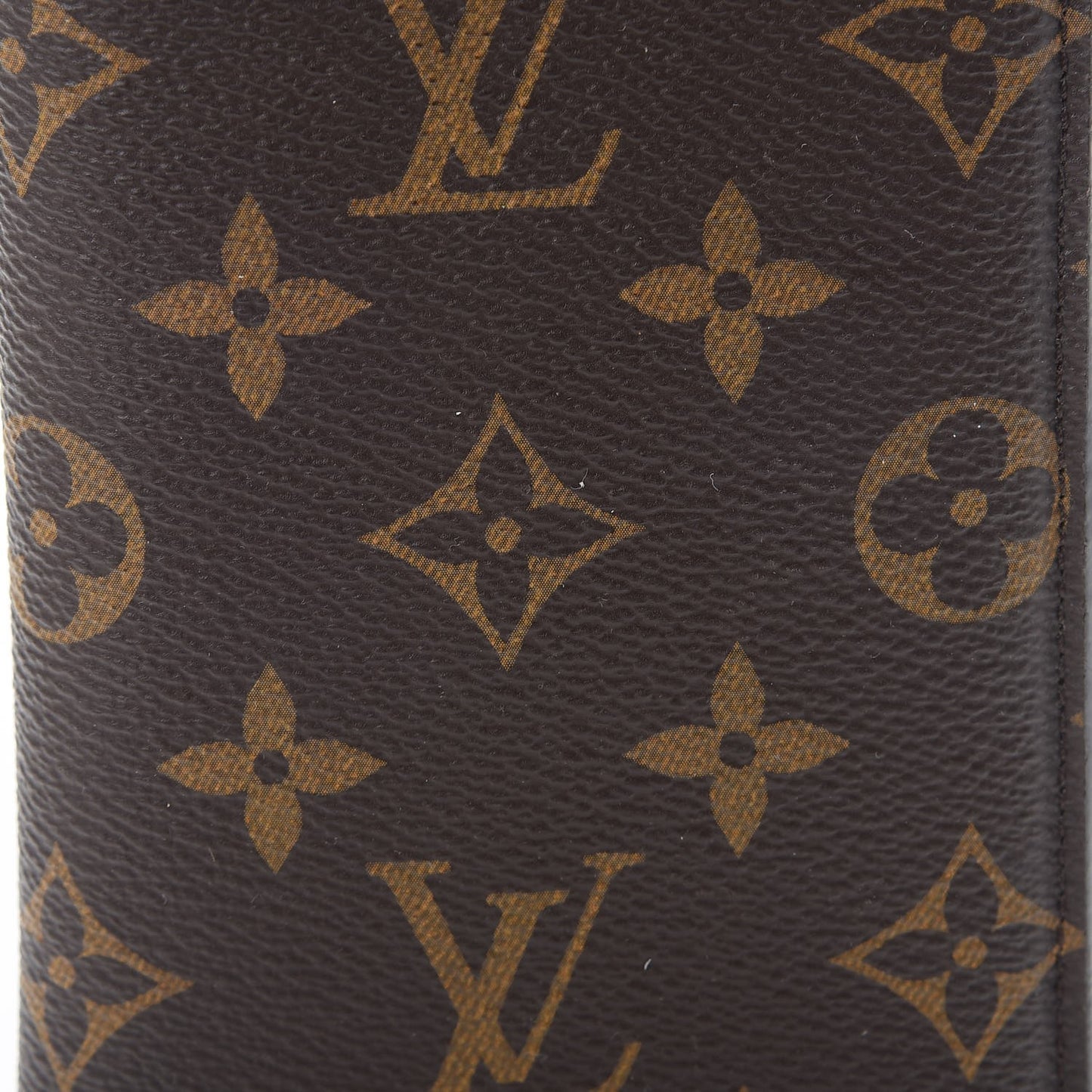Monogram Sunglasses Case MM