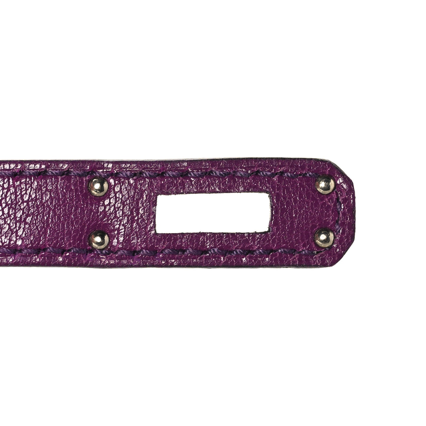 Chevre Chamkila Kelly Sellier 25 Anemone