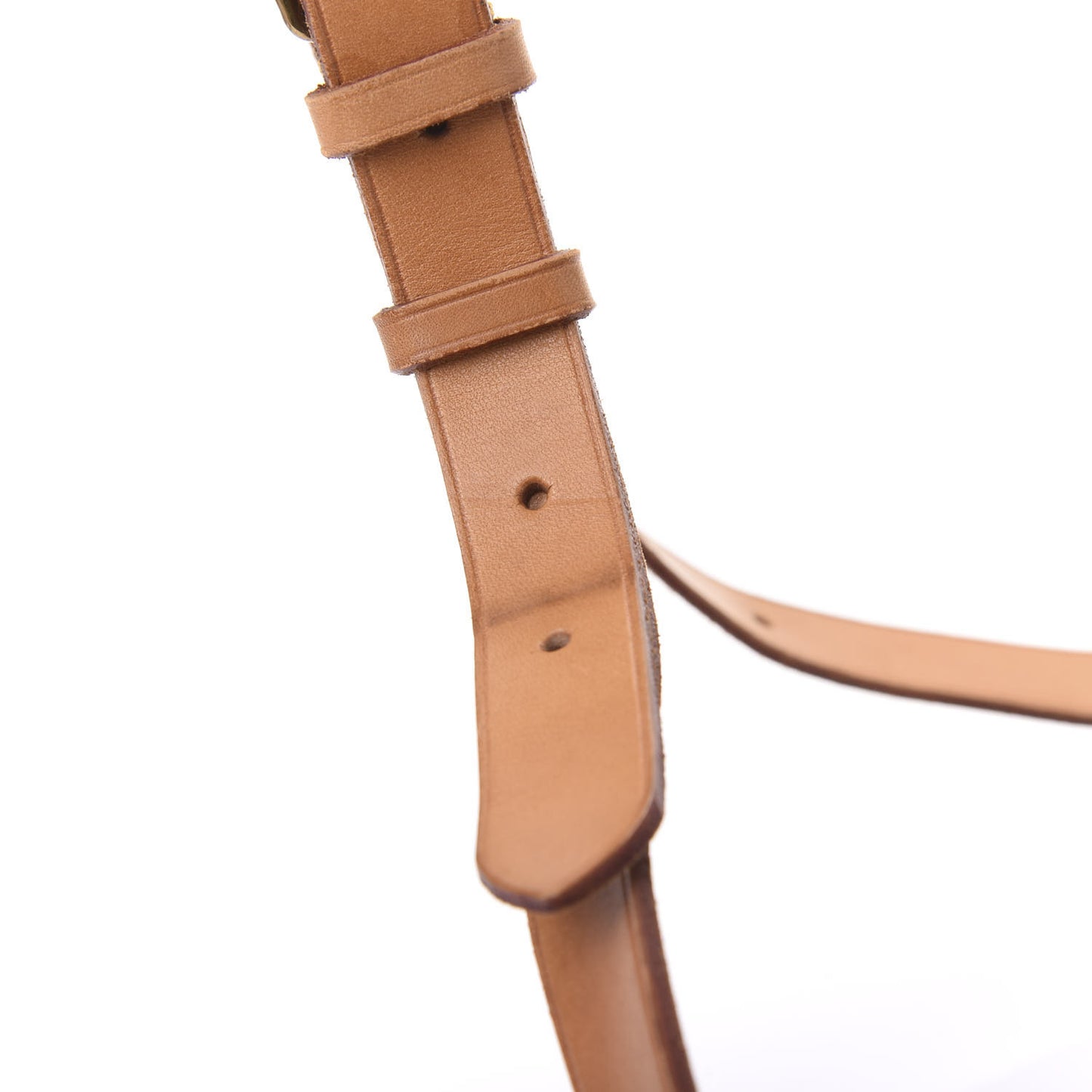 Monogram Cartouchiere 22