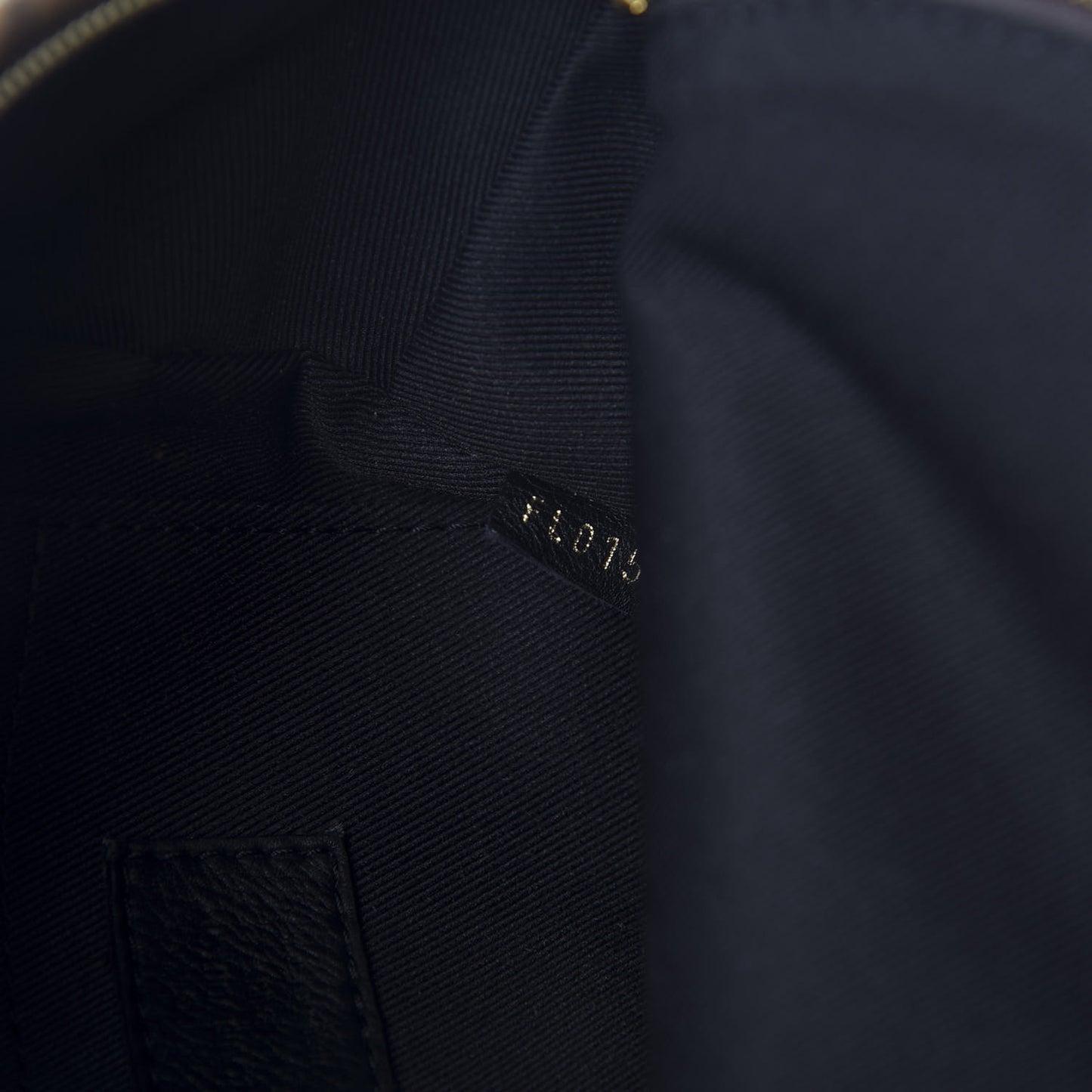 Reverse Monogram Palm Springs Backpack Mini