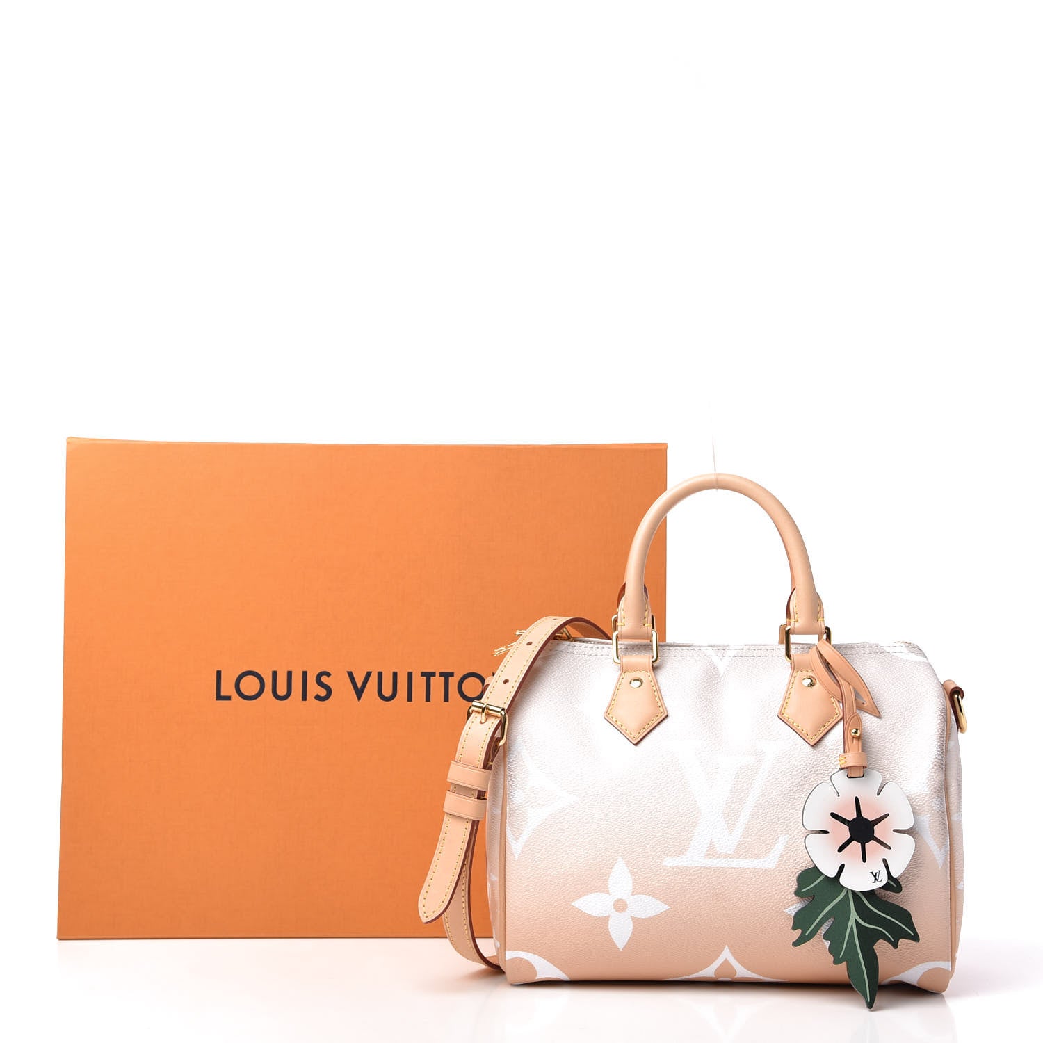 Louis Vuitton Monogram Giant By The Pool Speedy Bandouliere 25 Brume 13 of 13