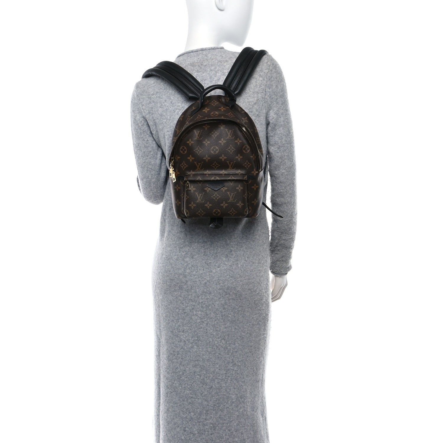 Louis Vuitton Monogram Palm Springs Backpack PM 2 of 10