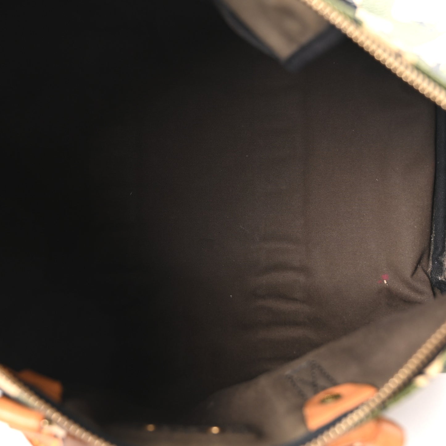 Monogram Camouflage Speedy 35