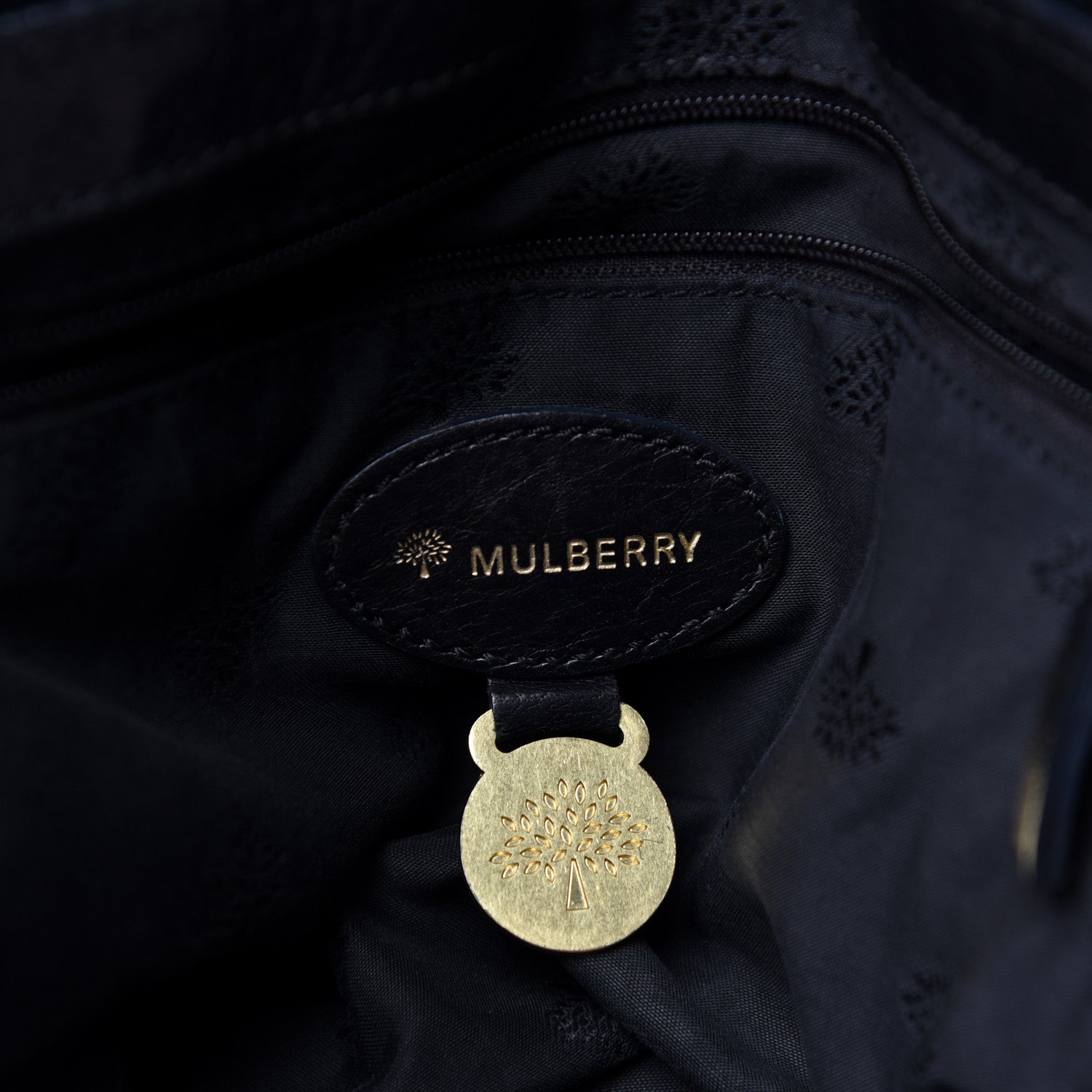 Mulberry Soft Buffalo Medium Alexa Black 6 of 10
