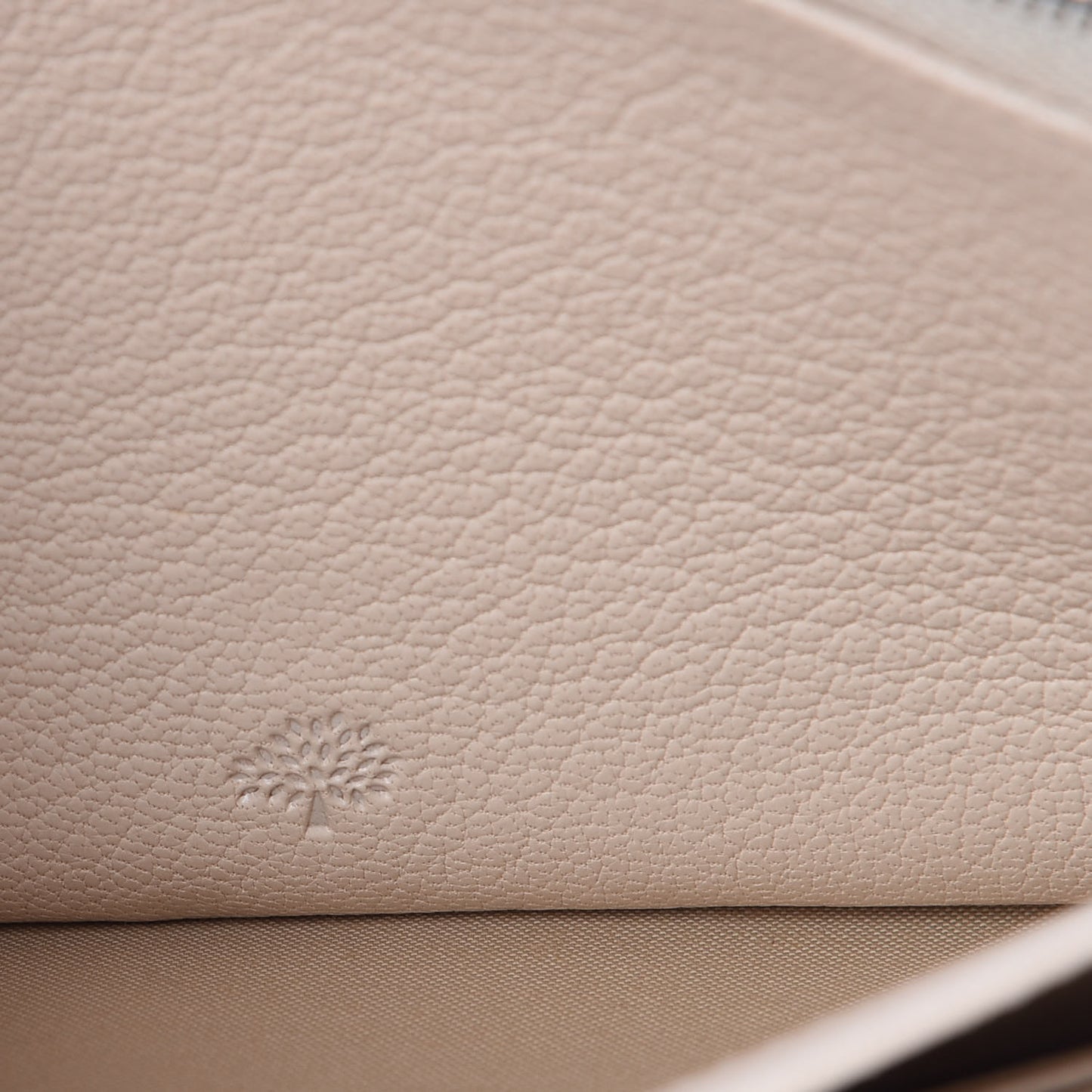 Glossy Goatskin Dome Rivet Continental Wallet Cream