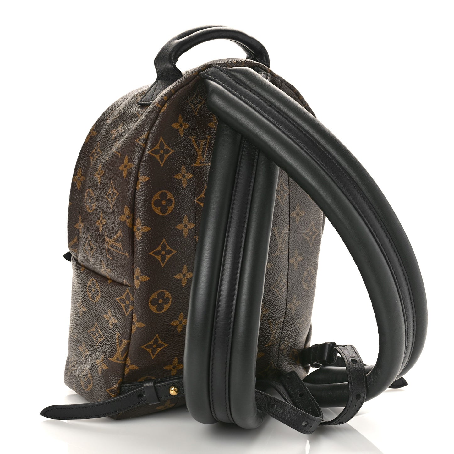 Monogram Palm Springs Backpack PM