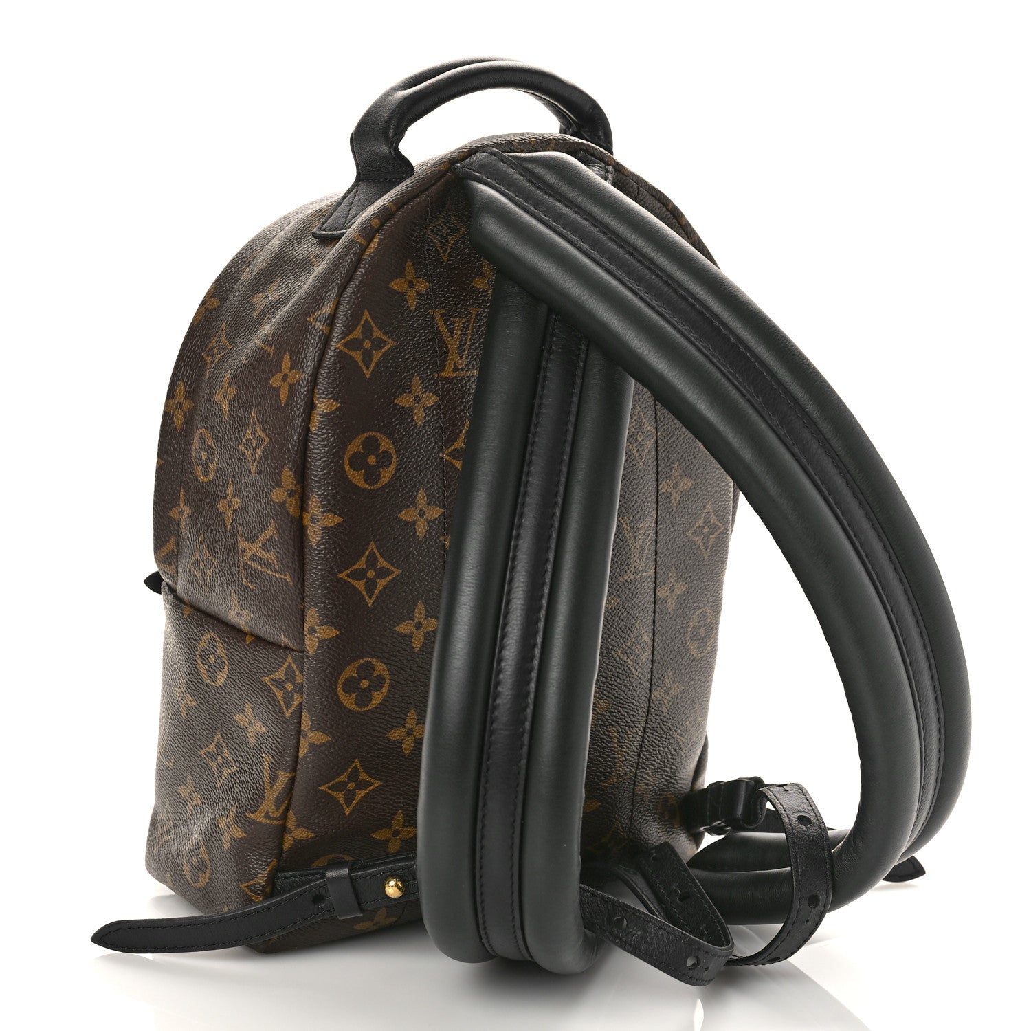 Louis Vuitton Monogram Palm Springs Backpack PM 2 of 9