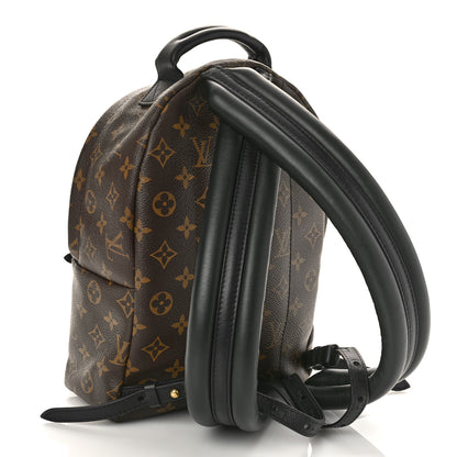 Louis Vuitton Monogram Palm Springs Backpack PM 2 of 9