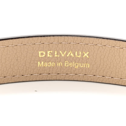 Delvaux Rodeo Calfskin Short D Chain Strap Sirocco 3 of 4