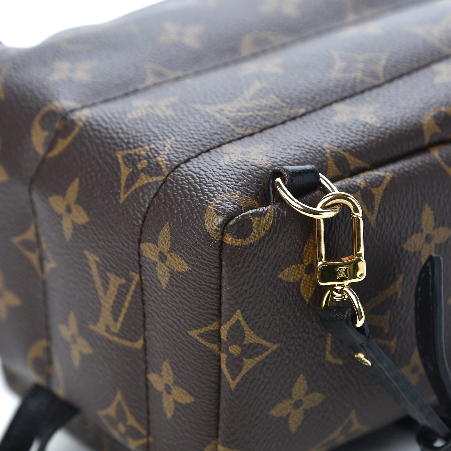 Monogram Palm Springs Backpack Mini