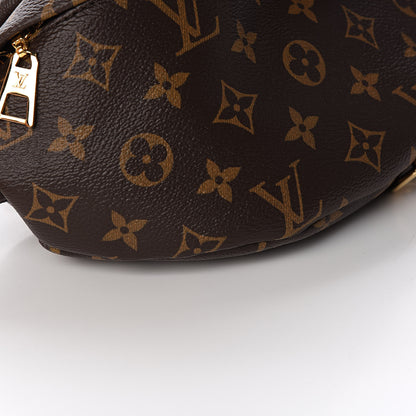 Louis Vuitton Monogram Bumbag 7 of 10