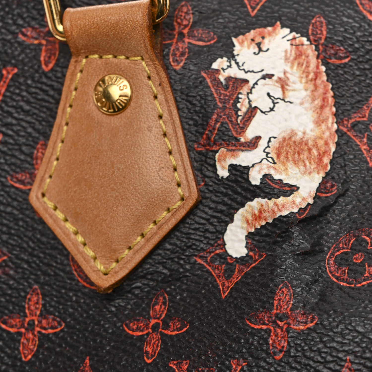 Louis Vuitton Catogram Speedy Bandouliere 30 Marron 14 of 14